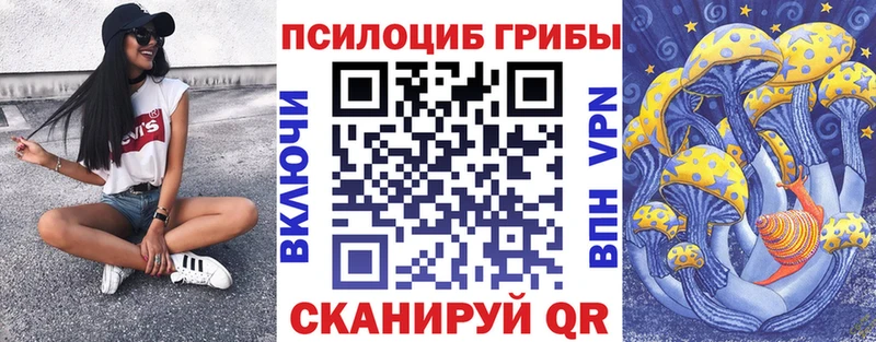 что такое   Черняховск  Галлюциногенные грибы мухоморы 